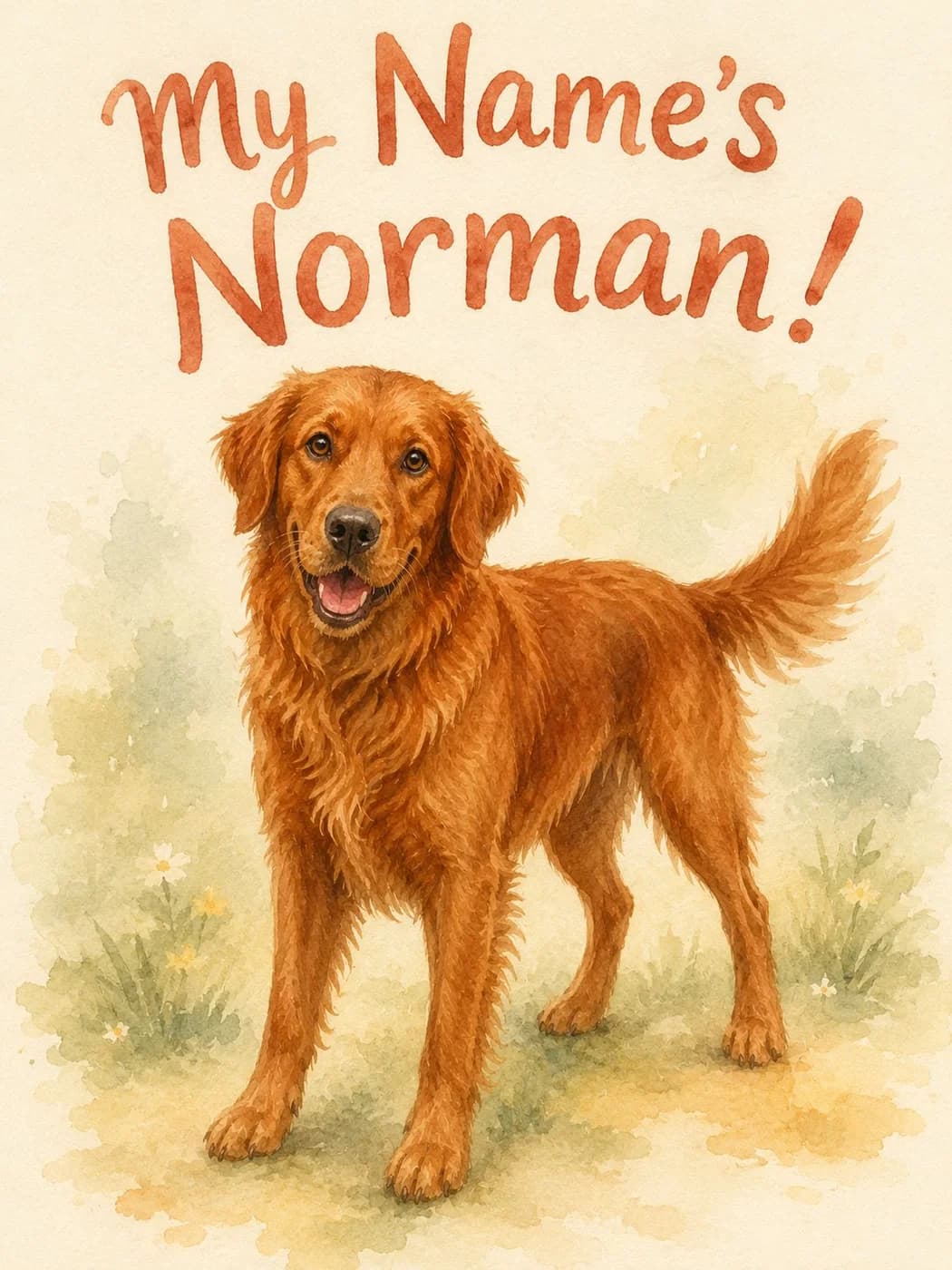 My Name's Norman! cover